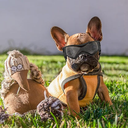 QUMY Dog Goggles UV Protection for Small to Medium Breed, Dog Sunglasses Windproof Anti-Fog Dustproof Snowproof, Puppy Glasses for Outdoor Riding Driving with Comfortable Frame Adjustable Straps