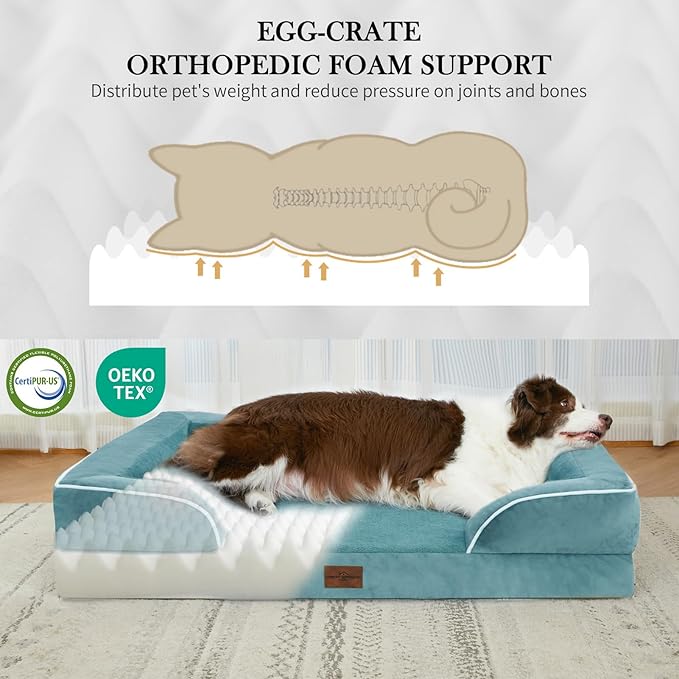 Comfort Expression Medium Dog Beds Waterproof Orthopedic Foam Dog Sofa Beds for Medium Large Dogs Comfy Pet Bed with Washable Removable Cover & Non-Slip Bottom(Medium,Washed Blue)