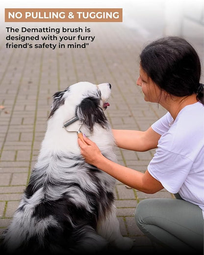 Shedding Tool – Undercoat Rake and Deshedding Brush for Pets, Detangling Brush, Grooming Comb, Cat Brush, Dog brush for Shedding LTANIOLAK