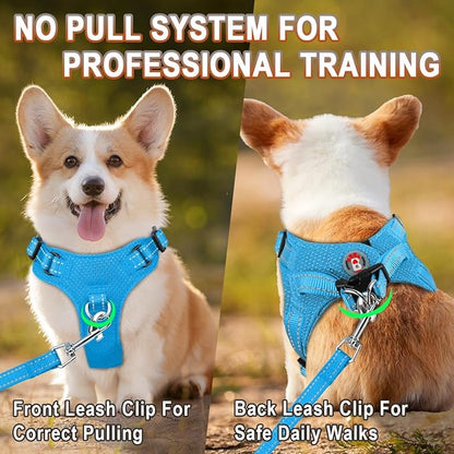 Dog Harness Step in Dog Vest Harness, Reflective Adjustable Puppy No Pull Harness Breathable Soft for Small and Medium Dogs Cats, Blue, XS