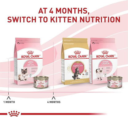 Royal Canin Feline Health Nutrition Mother & Babycat Ultra Soft Mousse in Sauce Canned Cat Food, 5.1 oz., Case of 24, 24 X 5.1 OZ