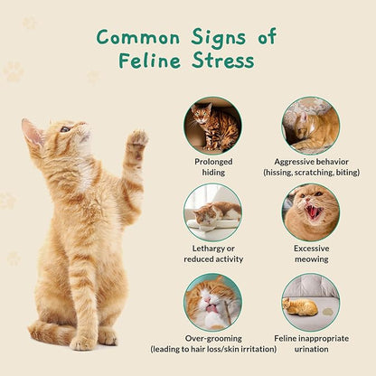 Cat Calming Diffuser for Travel – Pheromone Diffuser for Cats & Kittens to Reduce Anxiety and Stress-Related Behaviors, No Electricity Needed, Long-Lasting Enhanced Calming Aid (2 Pack)
