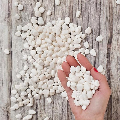 Royal Imports 30LBS River Rocks Decorative Ornamental Pebbles, Garden Landscaping Stones, Gravel Filler for Plants, Vases, Succulents, Home Decor, Aquariums, Crafting, Animal Habitat - Small White