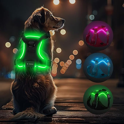 Light Up Dog Harness,Reflective Pet Harness Rechargeable,Led Dog Vest Harness for Night Walking,Adjustable Dog Safety Vest for Small Medium Large Dogs-No Pull,Black,M