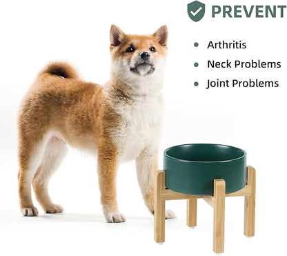 Ceramic Elevated Dog Bowl Set, Food and Water Bowl for Medium Dogs, Weighted Dishes, Green (7.3'', 41OZ)