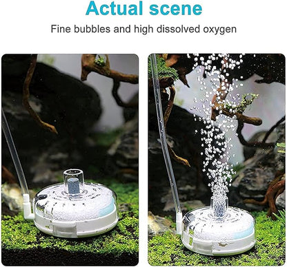 UPETTOOLS Mini Aquarium Sponge Filter, Small Internal Fish Tank Filter Detachable Submersible Filter with Air Stone auxiliary filter Suitable for 5-20 Gallon Tank (Air Pumps and Air Tube not Included)