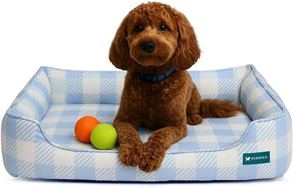 Orthopedic Bolster Dog Bed – CertiPUR-US Foam, Recycled Polyester Canvas, Washable Cover, Anti-Slip Bottom, Medium, Light Blue Check – Stylish Designer Dog Sofa