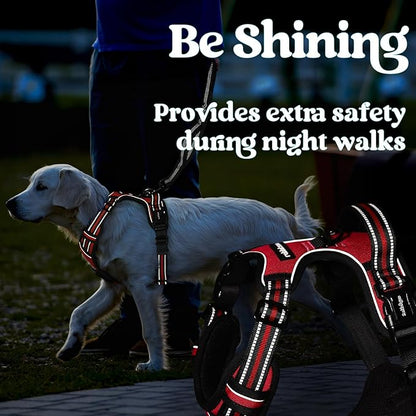 rabbitgoo Dog Harness Small Sized, No Pull Pet Harness with 3 Buckles, Adjustable Soft Padded Vest with Control Handle, Walking Reflective Pet Vest for Small Dogs, Red, S