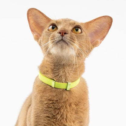 Safety Cat Collar - U.S. IDA Gold Award Design, Stretchy Elastic Quick Release Non Breakaway Cat Collar Light Weight for Kitten All Small Medium Large Cats (Olive, M (7.8-15.7 inch))