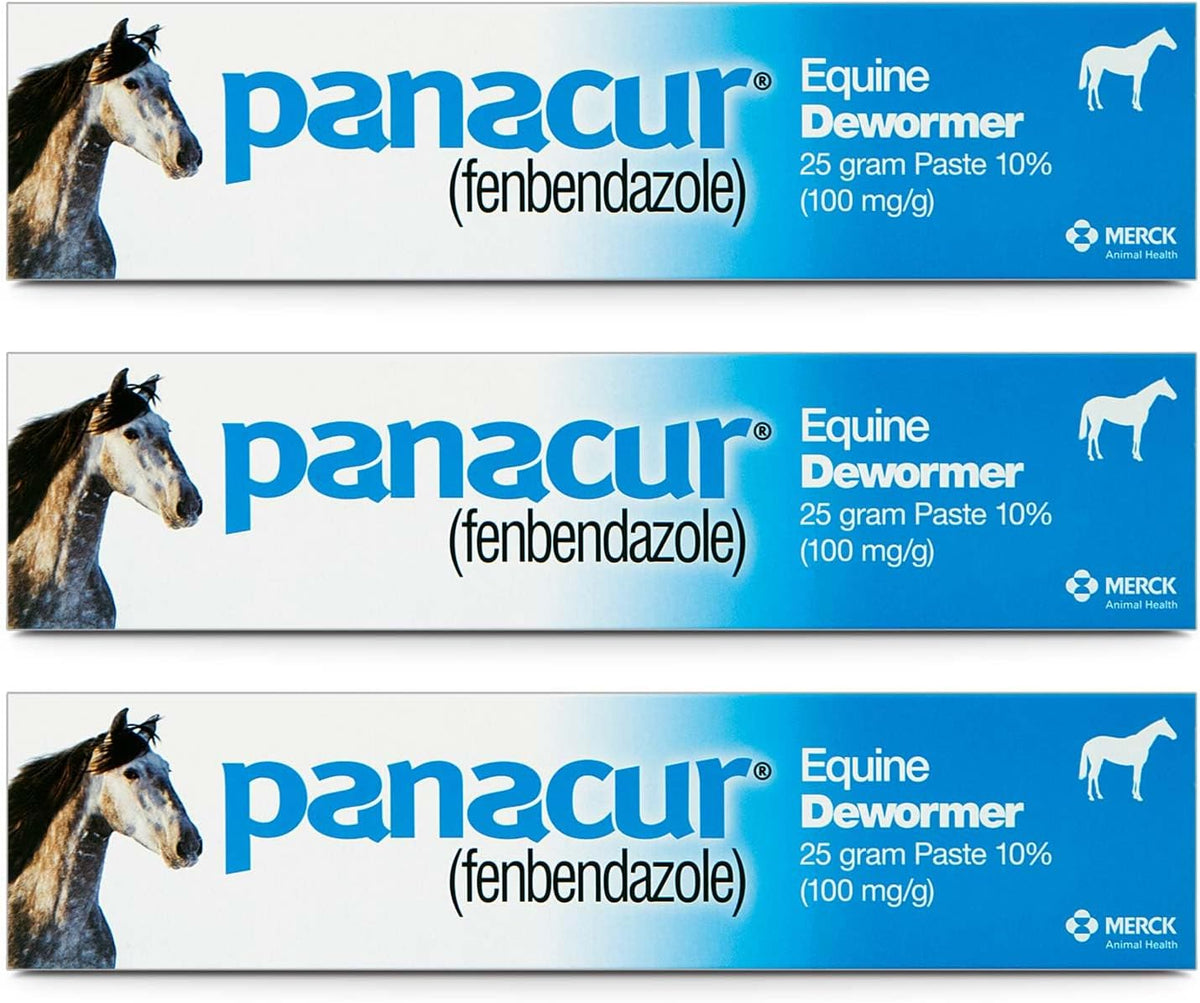 Panacur Equine Paste 10% Horse Wormer 100mg 1 x 25 Grams