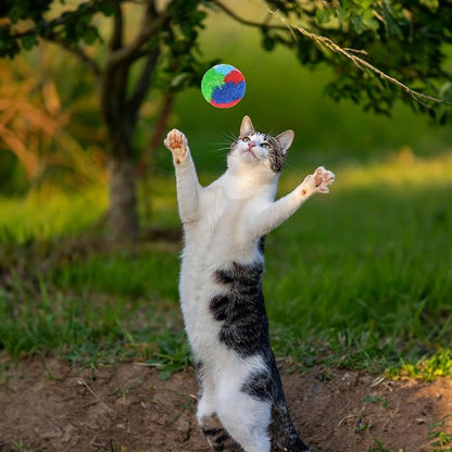 Nicunom 60 PCS Cat Pom Pom Balls, 1.7Inch Rainbow Cat Toy Balls, Soft Plush Cat Ball Fuzzy Kitty Balls Colorful Kitten Puff Balls Cat Chase Ball for Kitten Pet Interactive Playing Exercising