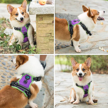 PHOEPET 2019 Reflective Dog Harness Large Breed Adjustable No Pull Vest with with Handle 2 Metal Rings 3 Buckles [Easy to Put on & Take Off](XL, Purple)
