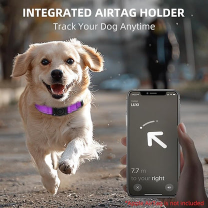 Airtag Dog Collar - 100% Waterproof Air tag Dog Collar Holder for Apple AirTag, Reflective, Soft Padded, Everlasting, GPS Dog Collar for Small Medium Large Dogs (Purple, XL)