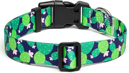 Mercano Adjustable Dog Collar - Special Design Patterns, Soft Nylon Comfortable Sturdy Pet Collar for Small Medium Large Dogs (S, Cactus)