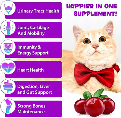 Cat Multivitamin, 15 in 1 Cat Multivitamin Liquid Drops, Cats Vitamins and Supplements with Glucosamine and Probiotics, Bones, Joint, Skin & Coat, Bladder, Immune System Support, 60ML