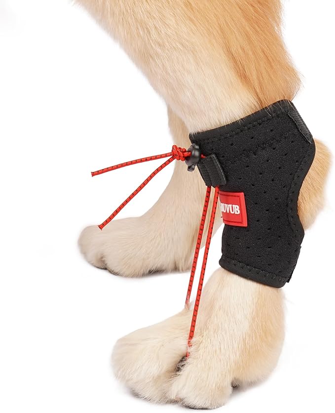 Dog Canine Knuckling Brace Rear Leg Dog Foot Brace Wrap for Toe Dragging Cause by Sciatic Nerve Insufficiency, Myelopathy, Herniated Disc (Medium)