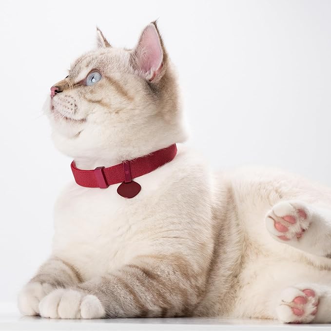 Safety Cat Collar Pro and Tag Set - U.S. IDA Gold Award, Elastic Release Cat Collar Charm Tag, Non Breakaway Cat Collar Adjustable with Charm for Kitten Small Large Cats (Glacier Silver, M)