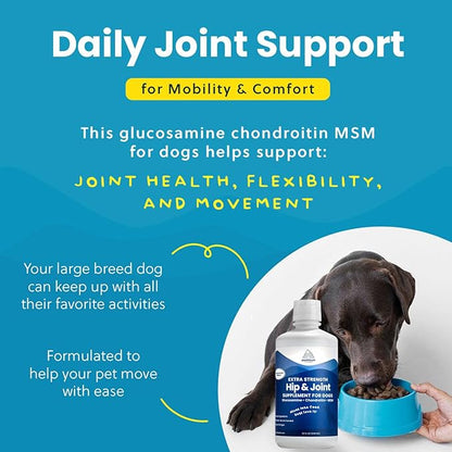 Concentrated Liquid Glucosamine for Large Dogs, Infused with MSM, 5200mg Chondroitin & Glucosamine Liquid for Dogs Hip & Joint Supplement for Mobility & Comfort, 32 oz