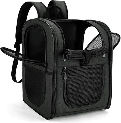 Apollo Walker Dog & Cat Carrier Backpack for 4-15lb Pets - Ventilated Safe Design with Padded Back Support, Breathable Mesh Pet Backpack for Hiking, Travel, Outdoor (Black)