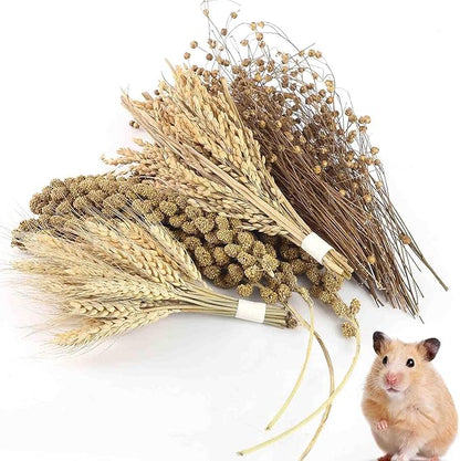 Hamster Spray Set - Natural Snack Grains & Chew Toys for Cage Decoration Accessories, Soft Bedding for Dwarf Syrian Hamsters, Gerbils, Mice & Small Pets