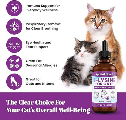 Special Breed L-Lysine for Cats & Kittens – Immune, Respiratory & Eye Health Support – Liquid Cat Supplement with Astragalus, Burdock, Atractylodes, Dangshen & Vitamins A, B1, B2, B6 – 4oz (120mL)