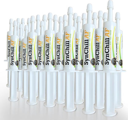 SynChill AF Calming Gel for Nervous Horses - Single Serving - Advanced Formula with L-Theanine, Increased Potency, 100% Natural Supplement, Disposition & Confidence Support for Horses - 25 Pack