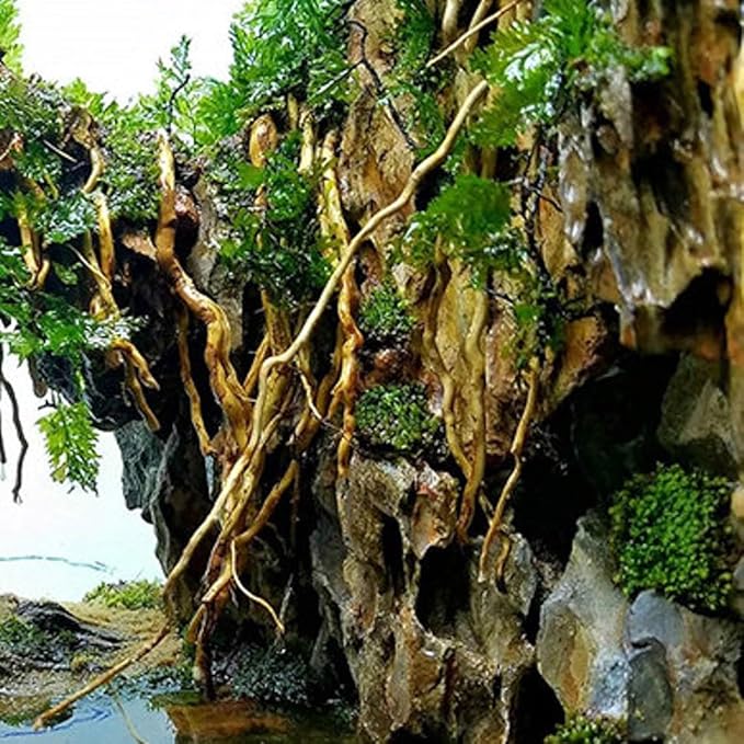 Aquarium Driftwood Roots for aquascaping - 160g Mix Natural Wood Roots for Aquarium aquascaping, aquascaper Essentials Driftwood Roots