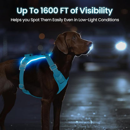 Light Up Dog Harness,Reflective Pet Harness Rechargeable,Led Dog Vest Harness for Night Walking,Adjustable Dog Safety Vest for Small Medium Large Dogs-No Pull,Blue,XL