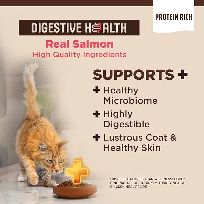 Wellness CORE+ Adult Dry Cat Food for Indoor and Outdoor Cats, Wholesome Grains, Natural, Digestive Health Salmon & Rice (5 Pound Bag)