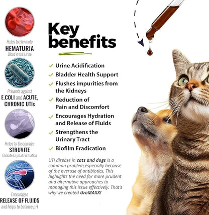 Cat & Dog Urinary Tract Treatment, Bladder & Kidney Support for Dogs and Cats, Powerful Yet Gentle Pet Care, with Liquid Cranberry & Glucosamine, Salmon Flavor, 6 oz Bottle, 2 Pack