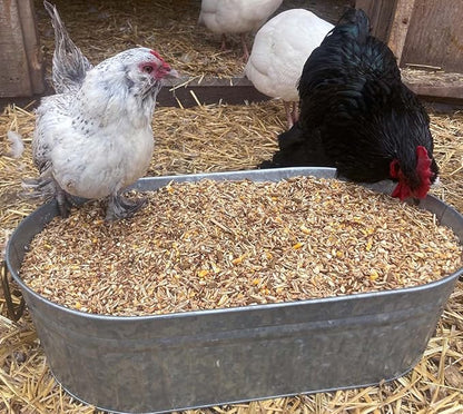 Pampered Chicken Mama Backyard Feed - Premium Scratch Treat - High Protein & Calcium All-Natural Grower Feed Supplies for Laying Chickens (2.5 Pounds)