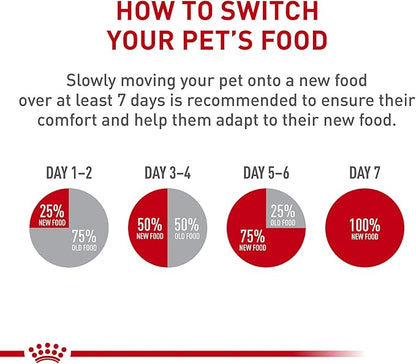 Royal Canin Feline Health Nutrition Kitten Loaf in Sauce Canned Cat Food, 5.1 oz can (24-count)