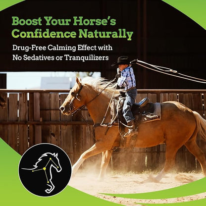 SynChill AF Calming Gel for Nervous Horses - Single Serving - Advanced Formula with L-Theanine, Increased Potency, 100% Natural Supplement, Disposition & Confidence Support for Horses - 12 Pack