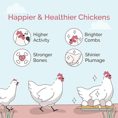 Organic Chicken Feed – Layer Mash, Non-GMO, USA Grown, 16% Protein, Corn-Free, Soy-Free, Non-Medicated Feed for Chickens, 23 lbs