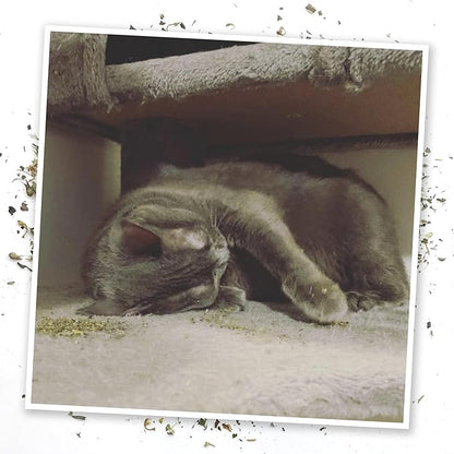 Meowijuana Get Higher Bundle | Get Higher Kite Refillable Toy, King Size Catnip Joints, and Whisker Tickle | Hand Harvested and Rolled Dried High Potency Catnip | Grown in North America