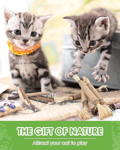 Silvervine Chew Sticks for Cats, 10 Pack Natural Catnip Chew Toys for Kittens Teeth Cleaning, Matatabi Dental Care, Increase Appetite, Calm Cat Anxiety and Stress, Aggressive Chewers Cat Dental Toy