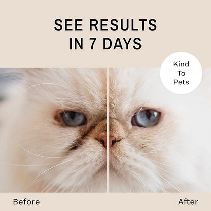 Eye Envy Tear Stain Remover Powder for Dogs and Cats. 100% Natural, Safe. Apply Around Eyes. Absorbs and Repels Tears. Keeps Area Dry. Treats The Cause of Staining. Made in The USA. (.5 oz)