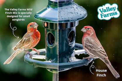 Valley Farms Wild Finch Mix (15 LB) Wild Bird Food for Outside Feeders, Wild Bird Seed with Millet and Chopped Sunflower Hearts for Birds, Finch Seed for Finch Feeders, Sunflower Kernels