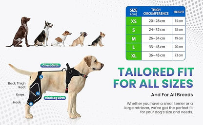 Dog ACL Knee Brace for Back Left Leg - with Integrated Harness - for Cruciate Ligament Injuries, Patellar Luxation, Post-Surgery Recovery. Durable, Breathable Material, Eases Pain - (Medium)
