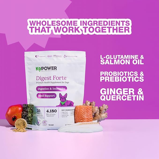 K9 Power Digest Forte for Dogs 1lb – Digestive, Immunity & Calming Support - Enhances Nutrient Absorption - Balances Gut Flora - Eases Discomfort & Boost Mood - Pack of 2