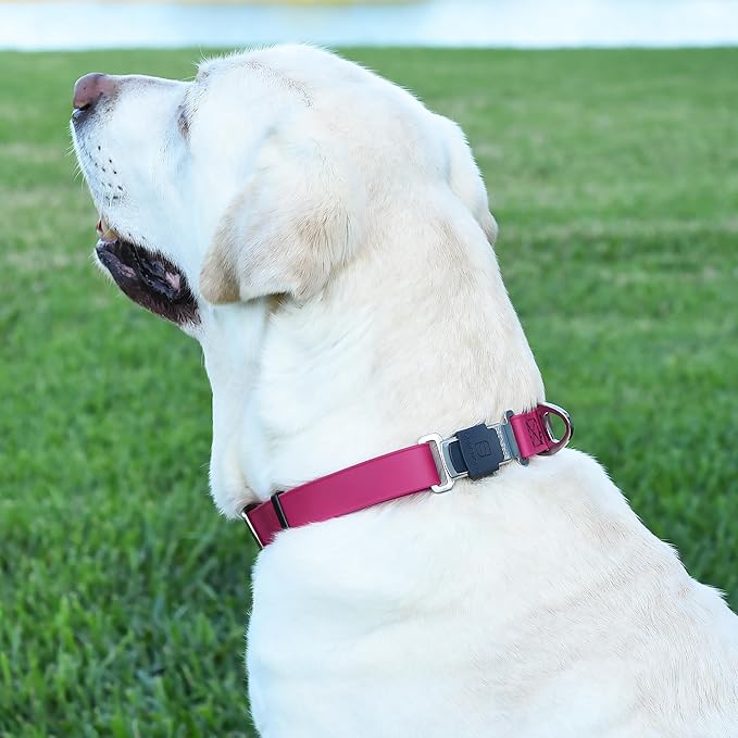 Dogline Biothane Waterproof Dog Collar with Herm Sprenger Black Stainless Steel Quick Release Buckle – Heavy Duty Tactical Durable Collar for Dogs – Comfortable, Safe Pet Collar W3/4" L12-19 Magenta