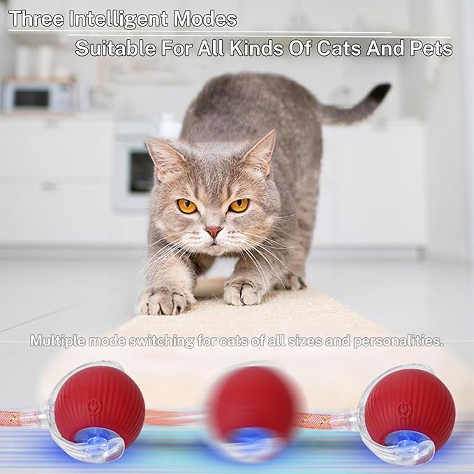 Red Speedy Tail 2.0 Cat Ball Toy – Upgraded Interactive Stimulating Toy for Bored Indoor Cats