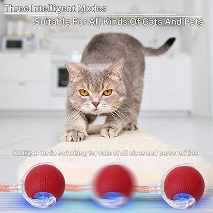 Red Speedy Tail 2.0 Cat Ball Toy – Upgraded Interactive Stimulating Toy for Bored Indoor Cats