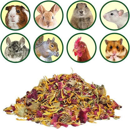 Flower Fusion Treat (1/2 lb) - Healthy Natural Dried Flower Herbivore Treat - Chinchillas, Guinea Pigs, Rabbits, Prairie Dogs, Degus, Hamsters, Rats, Squirrels, Sugar Gliders & Other Small Pets