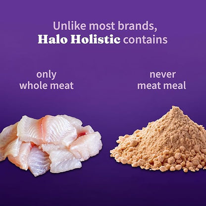 Halo Holistic Cat Food Wild Caught Salmon & Whitefish Formula, Healthy Grains Dry Cat Food, For Sensitive Stomach Support, Kibble for Adult Cats, 10 lb Bag