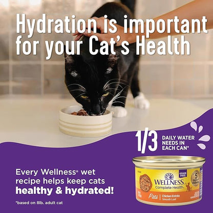 Wellness Complete Health Pate Kitten Wet Cat Food, Natural, Protein-Rich, Grain Free, 5.5 Ounce, 24 Pack, (Whitefish & Tuna)