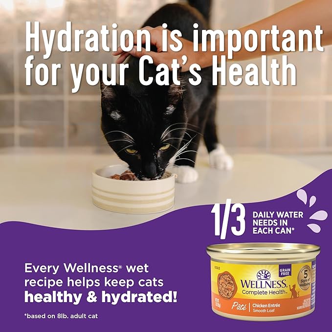 Wellness Complete Health Cubed Adult Wet Cat Food, Natural, Protein-Rich, Grain Free, 5.5 Ounce, 24 Pack, (Tuna Entrée)