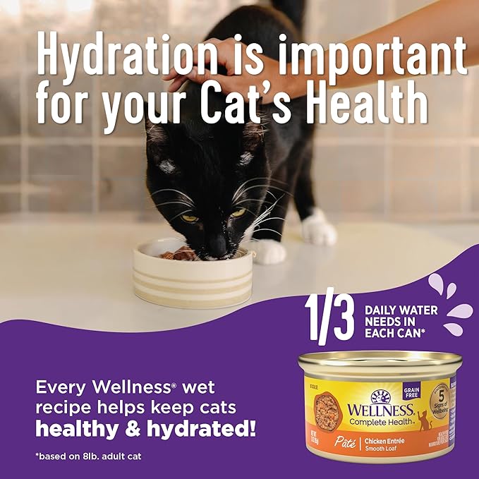 Wellness Complete Health Pate Kitten Wet Cat Food, Natural, Protein-Rich, Grain Free, 3 Ounce, 24 Pack, (Chicken)