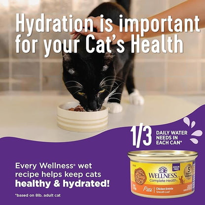 Wellness Complete Health Pate Kitten Wet Cat Food, Natural, Protein-Rich, Grain Free, 3 Ounce, 24 Pack, (Chicken)