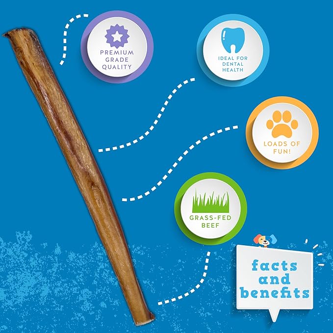 Jack&Pup 12 Inch Bully Sticks for Large Dogs (5 Pack) Jumbo Dog Chews for Aggressive Chewers | All Natural, Odor Free Bully Sticks for Dogs